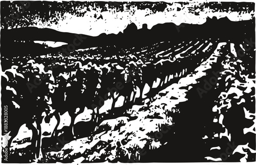 Vineyard rows on hillside landscape in rustic woodcut style, grapevines in cultivated field