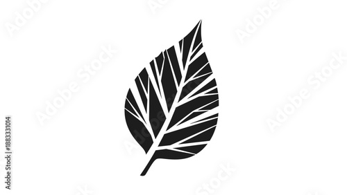 A stylized black leaf silhouette with vein details against a clean white background
