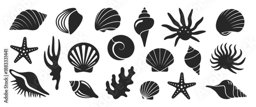Sea shell sink stencil stamp, marine starfish, conch shell, spiral snail, tropical ocean mollusks, underwater beach seashell illustration, exotic aquatic scenery, decorative ocean art, detailed design