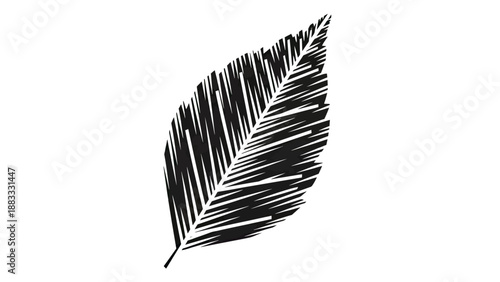 Stylized, black and white leaf illustration with textured lines and a simplistic stem on white
