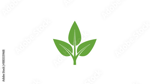 Simple, green, stylized leaves sprouting from a stem against a plain white background