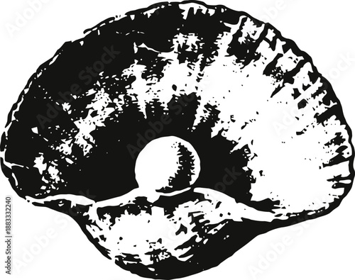 Open oyster shell with pearl inside illustration marine mollusk symbol of luxury and beauty