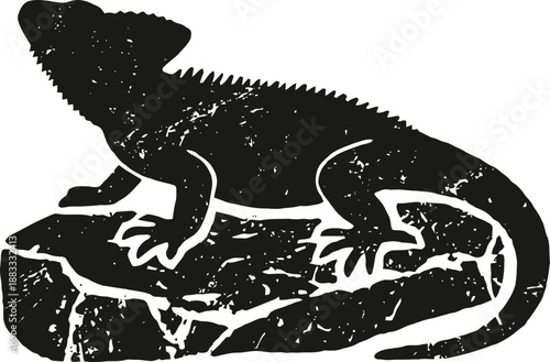 silhouette of a lizard on rock with textured grunge overlay design
