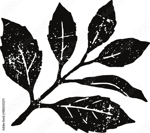 Black grunge leafy branch silhouette with textured rustic design
