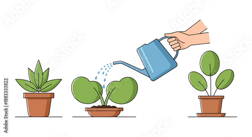 Gardening concept showing plant growth stages from seedling to mature plant with watering can to nurture small sprouts in pots for organic