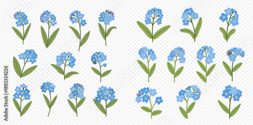 Set of beautiful blue forget-me-not flowers with green leaves on a transparent background, vector illustration.