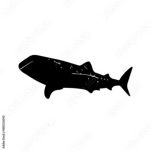 Silhouette of a majestic whale shark swimming gracefully in the ocean, showcasing its distinctive spotted pattern.