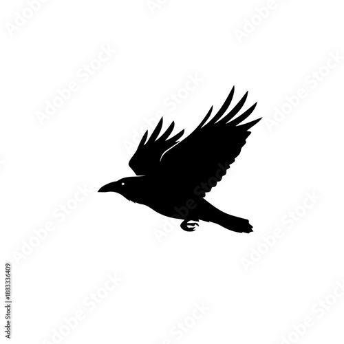 A black silhouette of a crow or raven in flight with wings spread against a white background, captured in a dynamic pose.