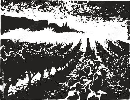 Black and white vineyard rows landscape with distant hills and dramatic sky