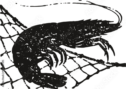 Black silhouette of a shrimp on a fishing net with intricate detail