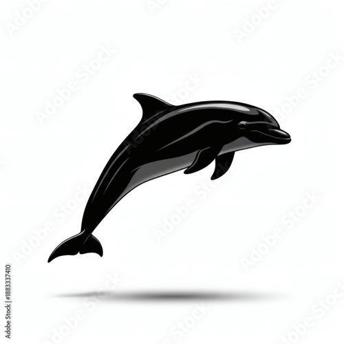 Dolphin Silhouette Isolated on White Background