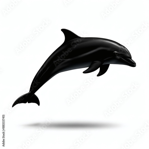 Dolphin Silhouette Isolated on White Background