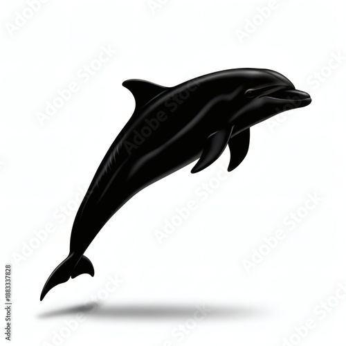Dolphin Silhouette Isolated on White Background