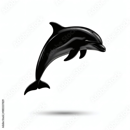 Dolphin Silhouette Isolated on White Background