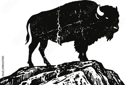 Silhouette of bison standing on rocky terrain wild animal nature wilderness outdoors