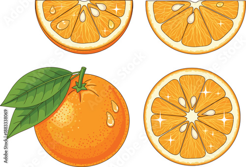 Fresh Orange Fruit and Slices Illustration Set Showing Citrus, Whole and Cut Pieces Flat Vector