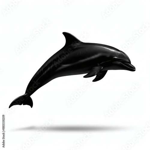 Dolphin Silhouette Isolated on White Background