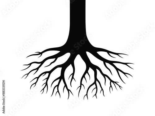 Tree root system silhouette isolated on white background, Vector, illustration