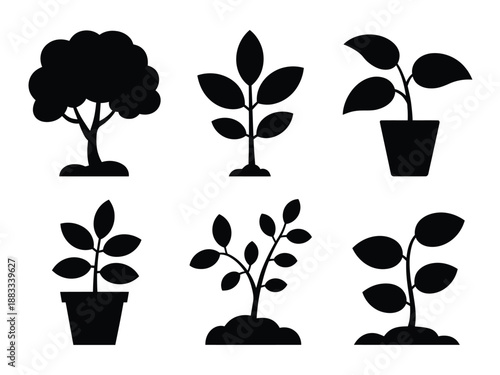 Collection of potted plants isolated on white background, Vector, illustration