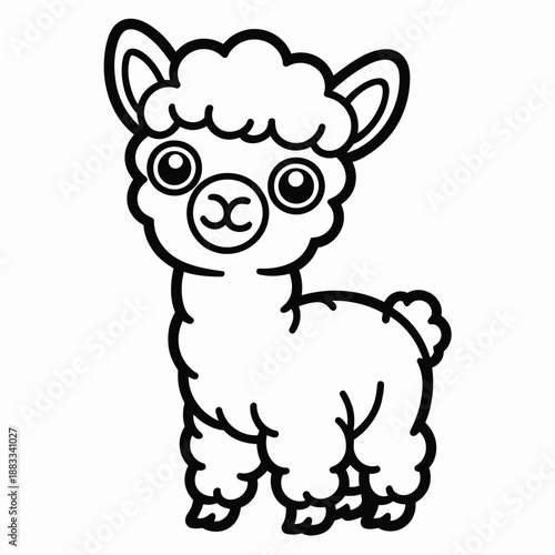 Adorable baby alpaca isolated on white background, Vector, illustration