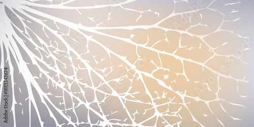 Abstract close-up of delicate white veins on a muted background.