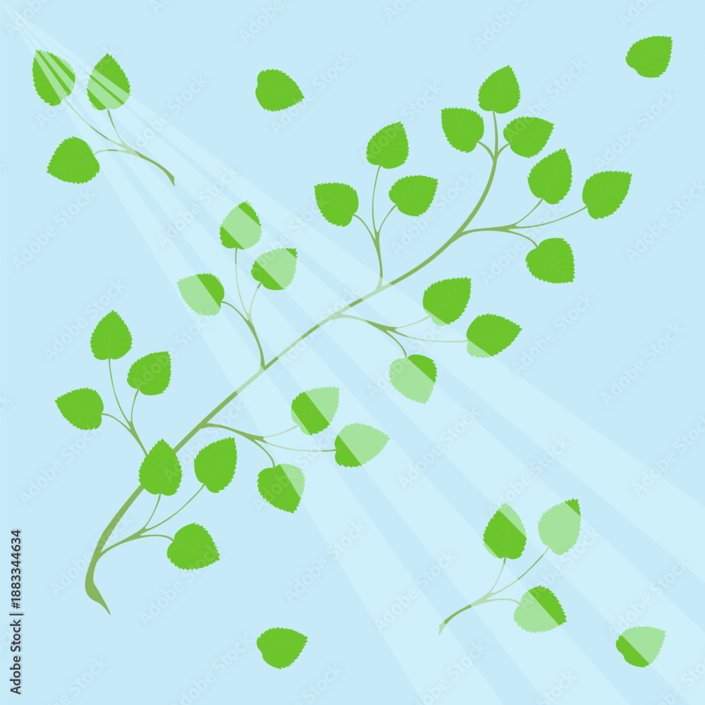Obraz premium A birch branch in spring with fresh green leaves on a blue background with sun rays