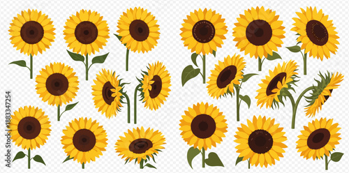 Set of vibrant yellow sunflowers in various angles and perspectives, perfect for summer designs and natural themes.