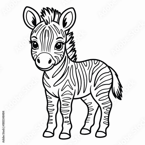 Cute baby zebra standing alone isolated on white background, Vector, illustration