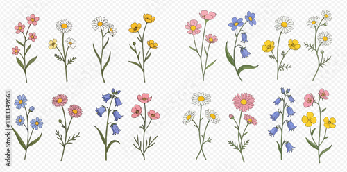 Set of beautiful hand-drawn wild flower illustrations, perfect for spring and summer designs.