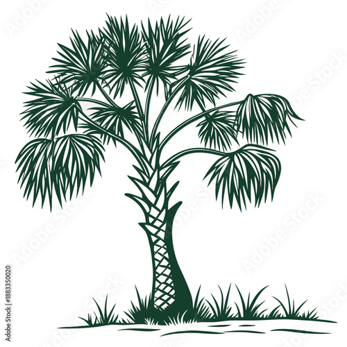 Palm Tree Tropical Landscape Illustration – Vintage Nature Scene in Green Line Art