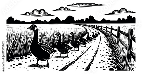 Vintage woodcut style illustration of geese depicting a line walking on a rural path for farm and nature concepts