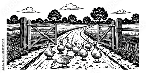 Hand drawn line art illustration of a farm scene depicting geese walking on a dirt road through an open wooden gate for a countryside backdrop
