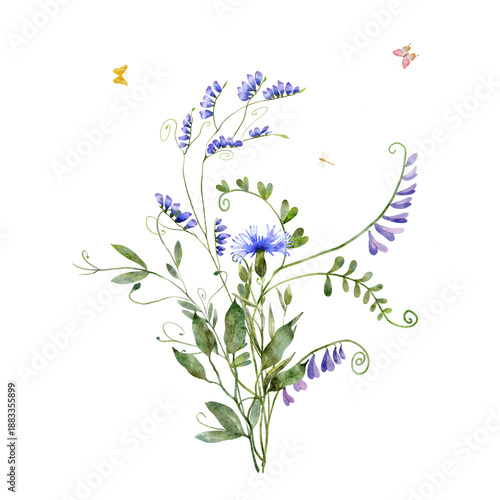 Watercolor forest geranium and cornflowers with leaves botanical composition
