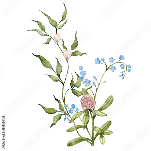 Watercolor clover and forget me not flowers with leaves botanical composition