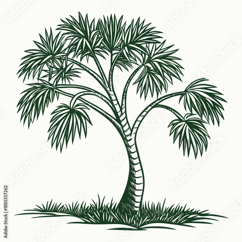Palm Tree Tropical Landscape Illustration – Vintage Nature Scene in Green Line Art