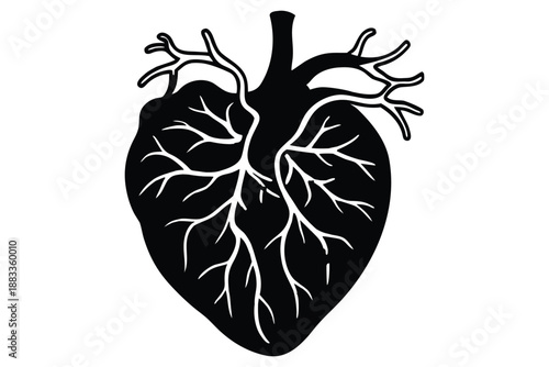 Black Silhouette of Human Lungs with Detailed Bronchial Tree Structure respiratory system human anatomy