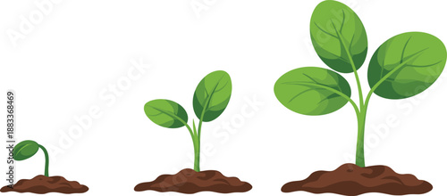 Cartoon plant growth stages icon set with sprout, leafy stem, and mature foliage rooted in soil mound.