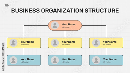 Business Organization Structure