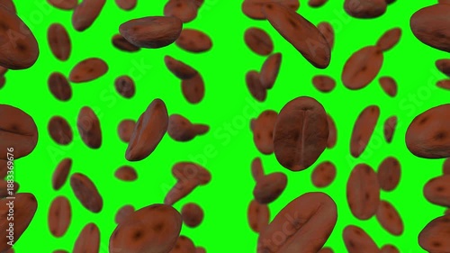 Coffee Beans Falling on a Green Screen Background. 3D Animation. 4K