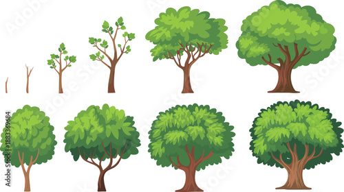 Cartoon tree growth and variety icon set with sapling stages and diverse mature tree types for educational design.