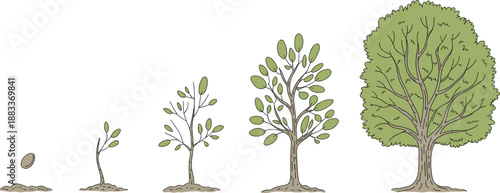 Cartoon tree growth stages icon set with seed, sprout, sapling, leafy stem, and mature tree with full canopy.