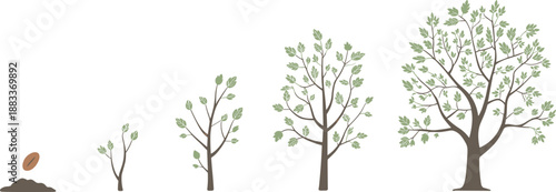 Cartoon tree growth stages icon set with seed, sprout, sapling, leafy stem, and mature tree with full canopy.Cartoon tree growth stages icon set with seed, sprout, sapling, leafy stem, and mature tree