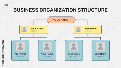 Business Organization Structure