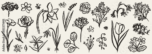 Grunge minimal charcoal or chalk spring summer flower collection. Vector illustration of ink hand drawn wild herbs set. Wax crayon drawing style. Floral silhouette elements for scrapbooking design.