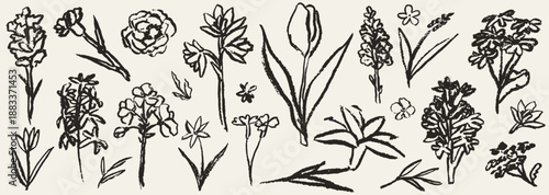 Grunge silhouette style flower art set or collection. Ink, charcoal, pencil, chalk or wax crayon style plants or floral elements drawing. Abstract hand drawn herbs for scrapbooking design and journal.