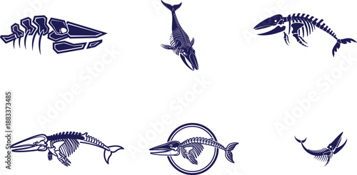 Collection of various fish skeleton illustrations in dark blue color