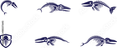 Collection of various fish skeleton illustrations in dark blue color