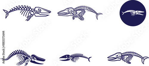 Collection of various whale and fish skeleton illustrations in different poses