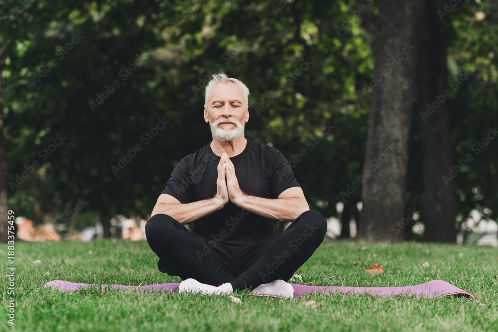 Fototapeta premium Senior bearded man meditating in a park outdoors during a calm morning yoga session for wellness and mindful fitness