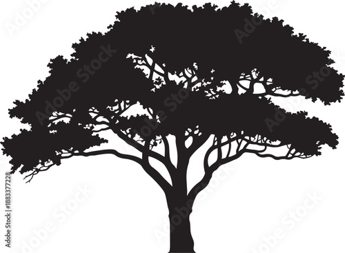 Majestic leafy tree silhouette with broad sprawling branches and dense foliage canopy standing isolated on white background, ideal for environmental conservation projects and nature landscape designs